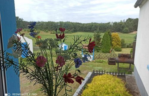 Sielska Oaza - siedlisko wiejskie z domem całorocznym - Foto 28