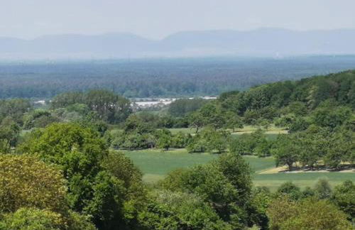 Im Herzen des Kraichgaus 1 - Foto 21