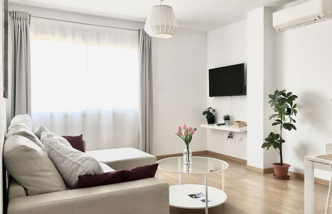 Malaga Palo - Foto 19