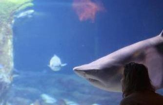 North Fork House for Rent - Photo 78