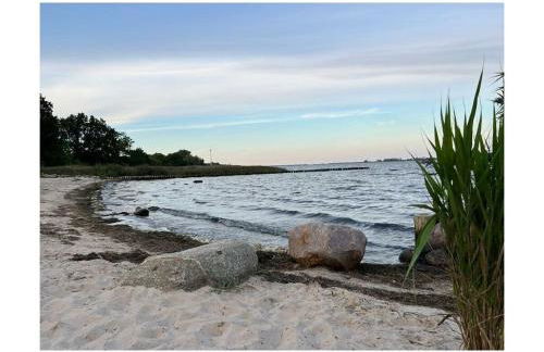 Organic holiday home Strandgut - Foto 35