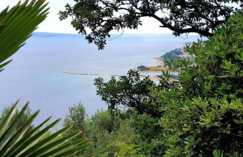 IDIS Holiday Home - Foto 25