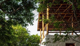 Casa Perobinha - Foto 3, Garden, Garden view