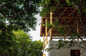 Casa Perobinha - Foto 3