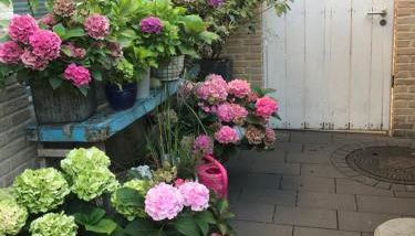 Apartment Klatenberg - Foto 4