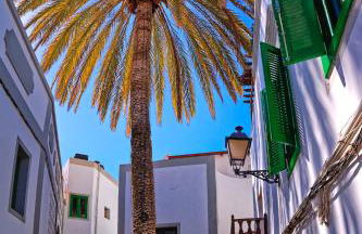 The Palm House - Foto 1