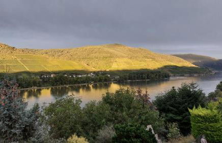 Ferienwohnung Märchenhain am Mittelrhein - Rheinblick, Terrasse & Garten, 2 Schlafzimmer und 2 Bäder - Foto 36