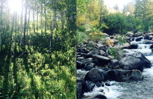 Cozy Cabin Retreat with Stunning Views of Yellowstone National Park in Montana - Foto 39