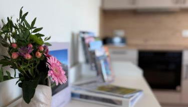 Urlaub an der Nordsee - Exklusive Penthouse-Ferienwohnung Deichliebe in Tossens - Foto 5