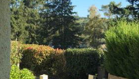 Gîte cocon Vassivière Aux abords du lac - Foto 2