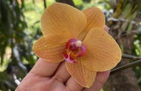 Sítio Recanto Feliz - Foto 4