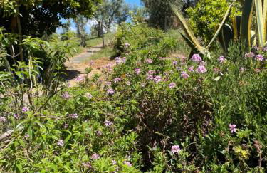 Casinha Revira Volta - Foto 6