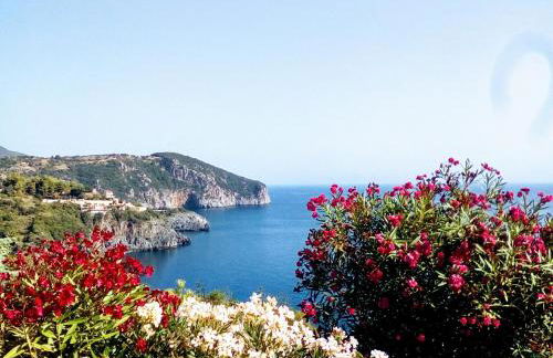 Kapetaniou Apartments - Foto 22