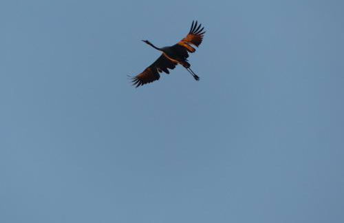 Komfort Ferienwohnung Wolfhagen - Foto 20