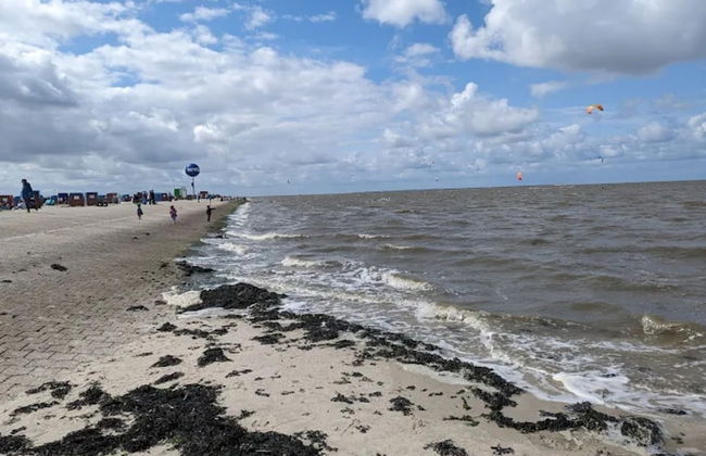 Holiday Bungalow in Dornumersiel - Foto 21