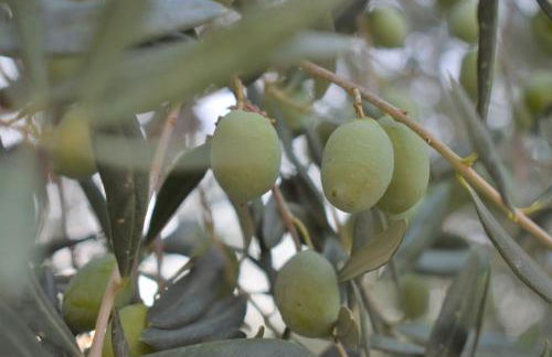 Casa di Paolo - Al Baglio - Foto 9