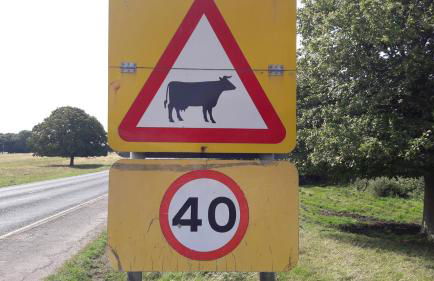 37 Trinity Lane - Photo 30