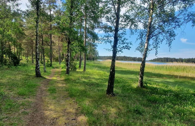 Well-equipped Beachside Cottage - Foto 72