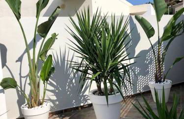 Racó de la Mar - Photo 24