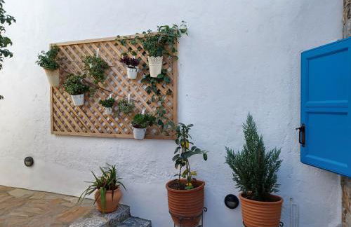 Vicky's Studios - Foto 57