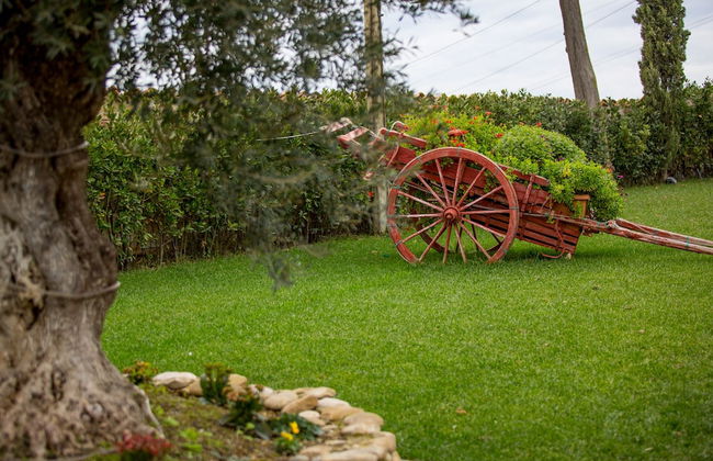 IL SAPORE DELLA LUNA SRL - Photo 25