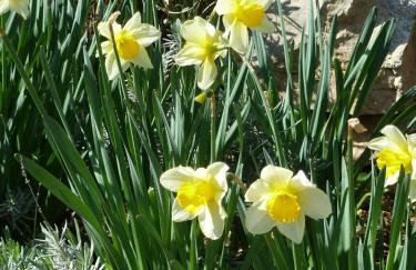 Apartment Nada - Foto 31