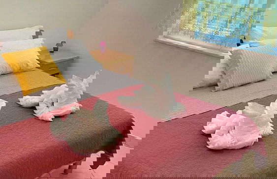 Apartments Tiho & Jelena - Foto 1