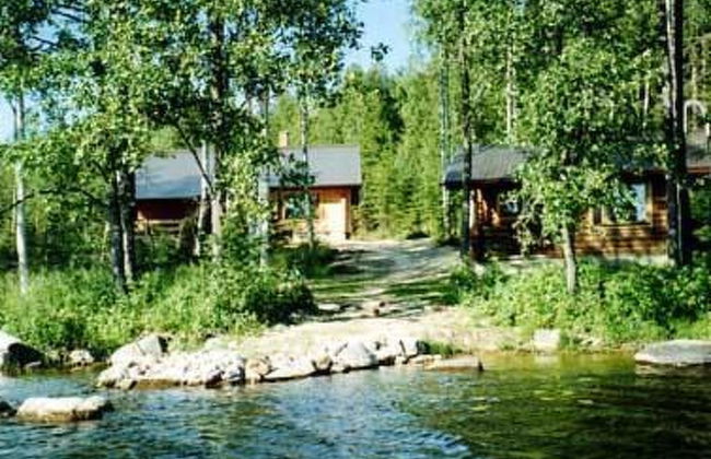 Hevonkuusi - Foto 21