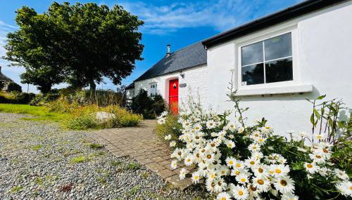 The Dairy @ Trefechan Wen - Photo 5