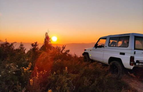 Pine Lodge - direct train to Porto - Foto 29