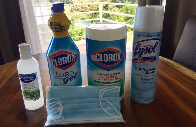 The Fruit Tree Garden Bromeliad Suite - Foto 15