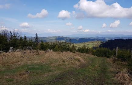 Pod Srebrzystym Świerkiem - Jacuzzi - Foto 44