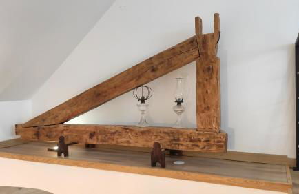 LARANJEIRA das LOIRAS - Foto 49