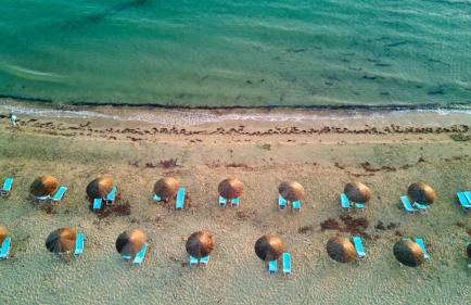 Maria's Paradise - Foto 7