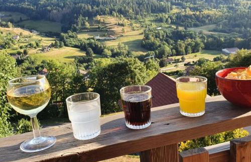 Chalet 3 étoiles avec sauna près de La Bresse - FR-1-589-18 - Foto 5