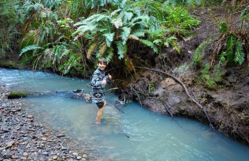 Driftwood Lodge~5 BR/7 Bath~30-acre Private Estate - Foto 25