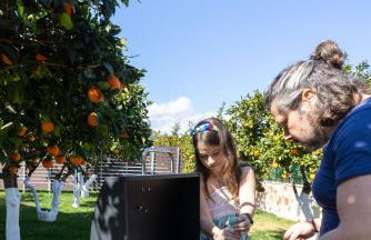 Desa Green Homes - Photo 56