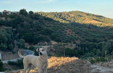 Iris Cretan Mountain Escape - Photo 23