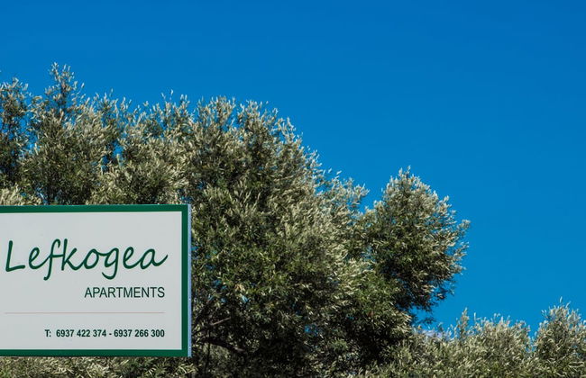 Lefkogea Villas - Photo 23