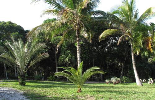 The Lion Cottage- Charming Studios - Foto 9