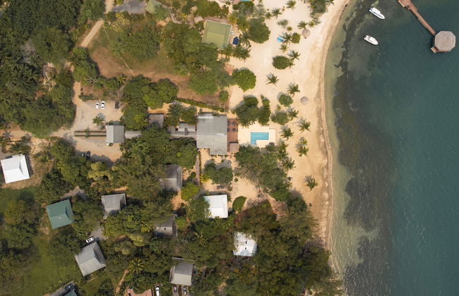 Tropical Breeze - Foto 9