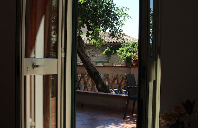 Villa degli Ulivi - Photo 28