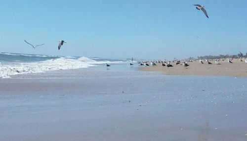 La casa del 7 - Foto 2