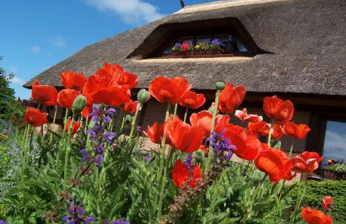 Boddenzauber - Foto 19