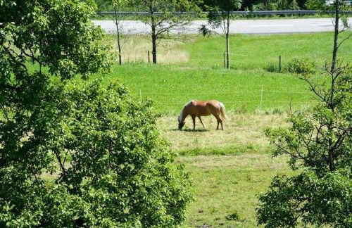 Hof Rossruck - Foto 33