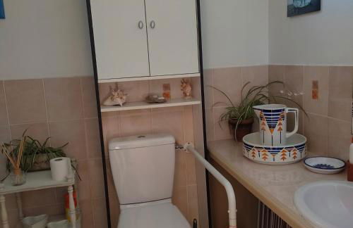 Petite maison au bord du canal, 8' Zoo de Beauval, PMR - Foto 23