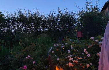 Haus Janßen-Wehrle - Foto 34