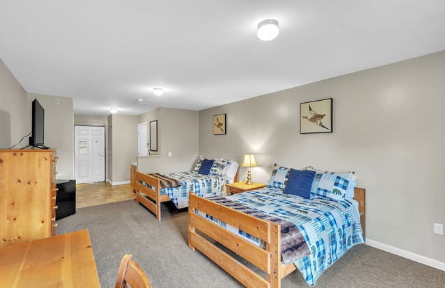 Green Goose Lodge - Studio Apt Sleeps 4 Condo - Foto 45