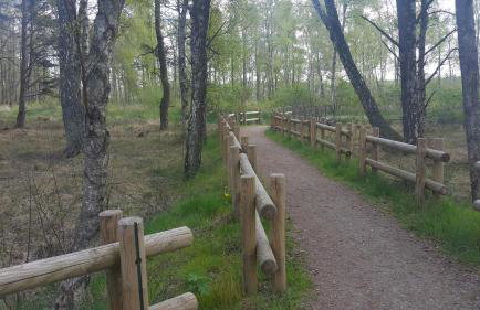 Magico Posto - Foto 67