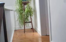 Luxury house - Photo 14